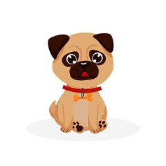 Pug puppy. Isolated purebred pug dog puppy icon. Cute doggy pet animal cartoon character with collar sitting and looking