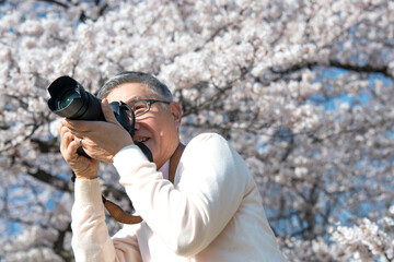 桜の写真を撮るシニア男性