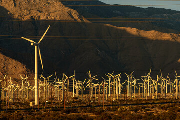 A significant number of Windmills at Palm Springs, California, USA.