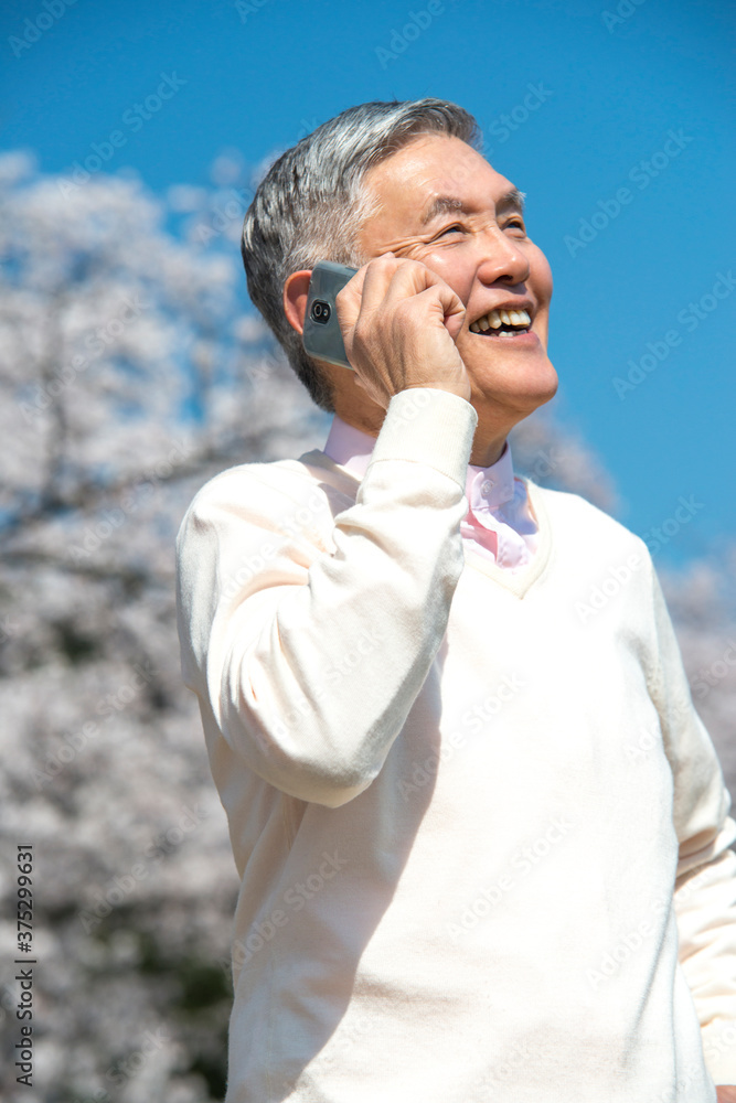 Canvas Prints 電話をするシニア男性