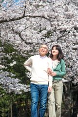 Fototapeta premium 花見をするミドル夫婦