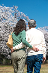 花見をするミドル夫婦