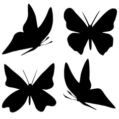 Set of black butterflies in sketch style on white background. Butterfly outline on white background for decoration
