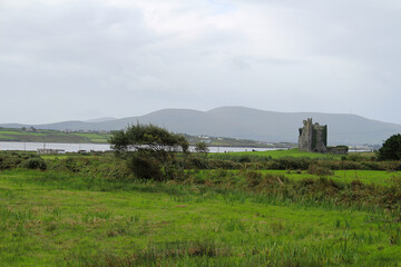 Fototapeta na wymiar Irland Küsten Meer Weideland Ring of Kerry