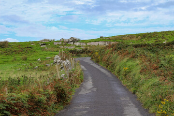 Fototapeta na wymiar Wunderschöne Natur in Irland mit Wegen Straßen und Ausblick