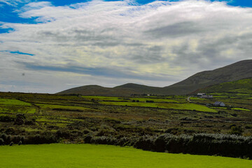 Fototapeta premium Irland Küsten Meer Weideland Ring of Kerry