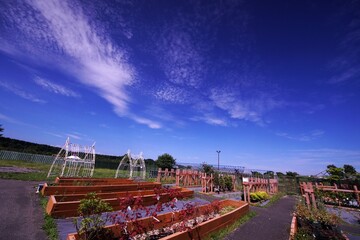 爽やかな初夏のえこりん村