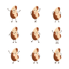 Brazil nut a cute cartoon nutrition characters set vector illustration isolated.