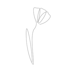 Flower on white background design. Vector illustration