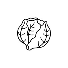 Hand drawn vector illustration of  cabbage. Element for your cards, posters, stickers and seasonal design.