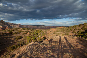 Shadows in the desert