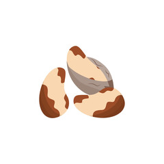 Stack or pile of organic brazil nuts flat cartoon vector illustration isolated.