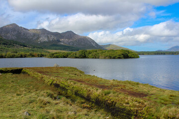 Irische Küste Landschaften Irland Klippen Weideland grün