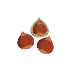 Brown hazel nuts with and without shell - isolated food vector illustration