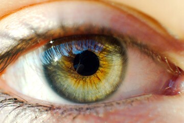 Ojo.