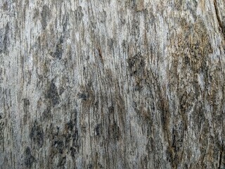 Obraz premium old wood background