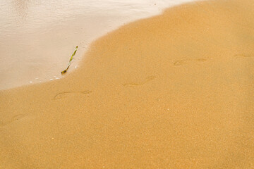 footprints on the sand