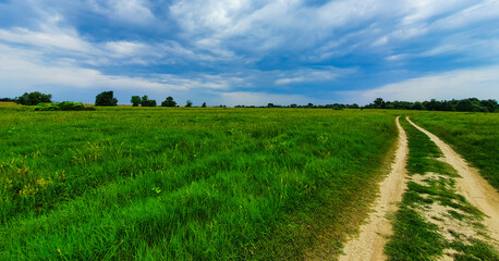 Beautiful country road in summer, with green foliage and storm clouds