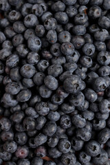 Fototapeta na wymiar Blueberry berry fresh fruit background photo
