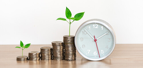 Green plant growing on  coin stacking on wooden table with  a clock  and a white background .Investment and saving  concept.