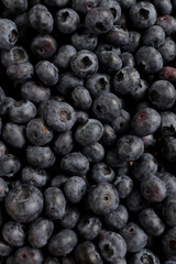 Blueberry berry fresh fruit background photo