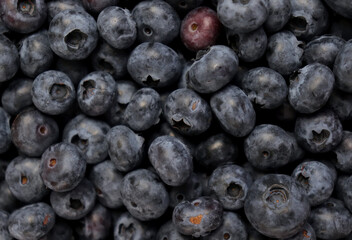 Blueberry berry fresh fruit background photo