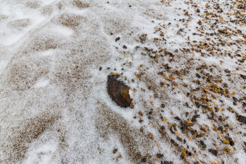 Abstract shapes with sand dunes covered by fresh powder snow, in a wild river bed, in winter