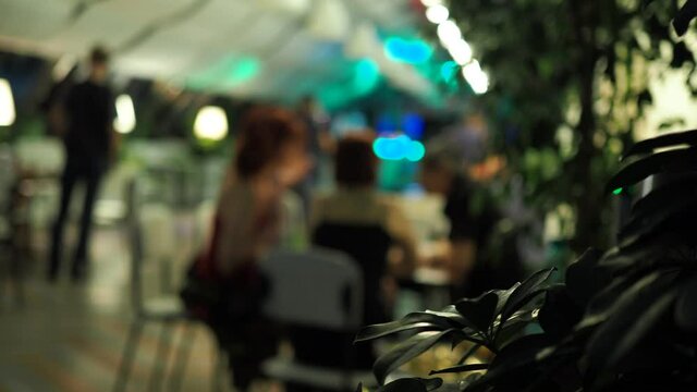 Party, Milonga. The leaves of the plant are close-up against the background of people sitting at a table and drinking drinks next to which couples are dancing a tango. Out of focus, bokeh. Novosibirsk