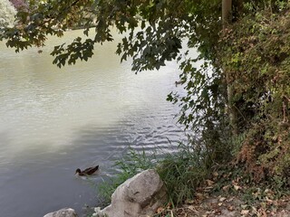 nature Rémoise