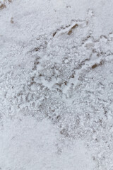 Abstract shapes with sand dunes covered by fresh powder snow, in a wild river bed, in winter