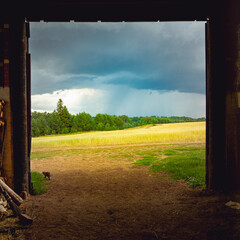 old barn in the field