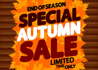 Special Autumn Sale, discount poster design template, end of season, vector illustration