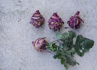 four ugly whole uncooked fresh red kohlrabi on grey background