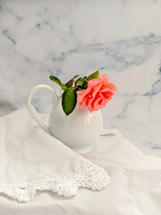 Beautiful bouquet of bright rose in white mug, on cloth, on bright background