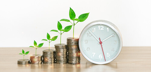 Green plant growing on coin stacking on a wooden table with a clock and a white background.Investment and saving concept.