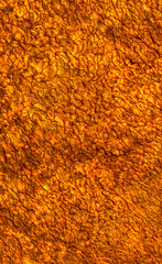 Background wall with abstract spots. Beautiful golden texture with stains, abstract surface background, modern bright painting of walls in trending shades, unusual spotty silver and gold surface.