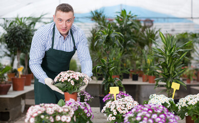 Portrait of male gardener with blooming flower who is taking care of them in orangery.