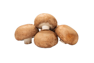 Tasty mushroom isolated on white background.