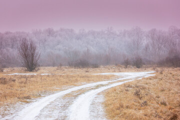 Obraz na płótnie Canvas Beautiful country road covered with fresh snow and frost, in winter, in remote rural location