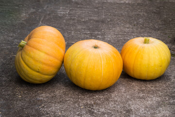 Mini  Pumpkins on brick background Vegetables grown on a personal plot.