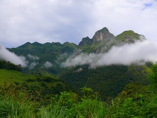 Indian subcontinent, Sri Lanka (Ceylon), mountains and rice fields