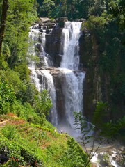 Fototapeta na wymiar Indian subcontinent, Sri Lanka (Ceylon), Nuwara Eliya, waterfall and tea plantation