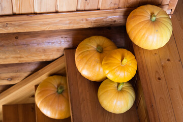 A rustic autumn still life with pumpkins on a wooden stairs.Bright sunlight falls sideways 