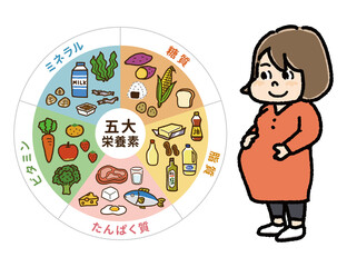 五大栄養素の表と妊婦さんのイラストB