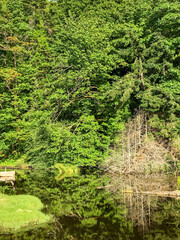 Burfoot Park