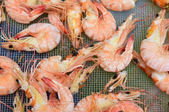 Dried shrimp close-up photo That is produced by themselves as a food ingredient