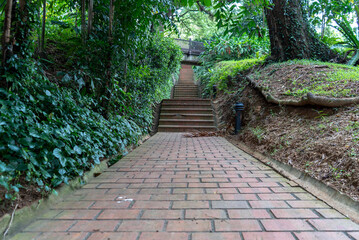 Stairs heading up in a garden