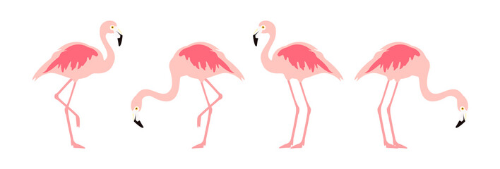 Flamingo tropische vogel. Roze flamingo vectorillustratie