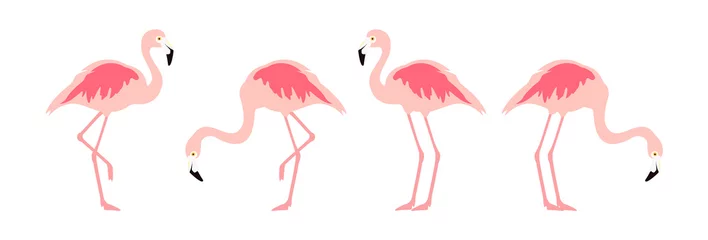 Behang Flamingo Flamingo tropische vogel. Roze flamingo vectorillustratie