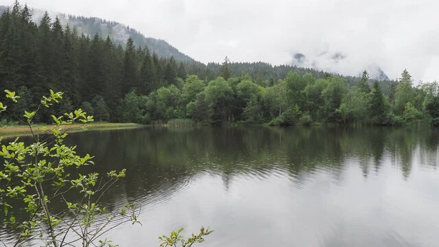 Bayerische Seelandschaft. Suttensee durch das idyllische Rottachtal. Ein paar eurasische Bl&auml;ssh&uuml;hner paddeln im Wasser